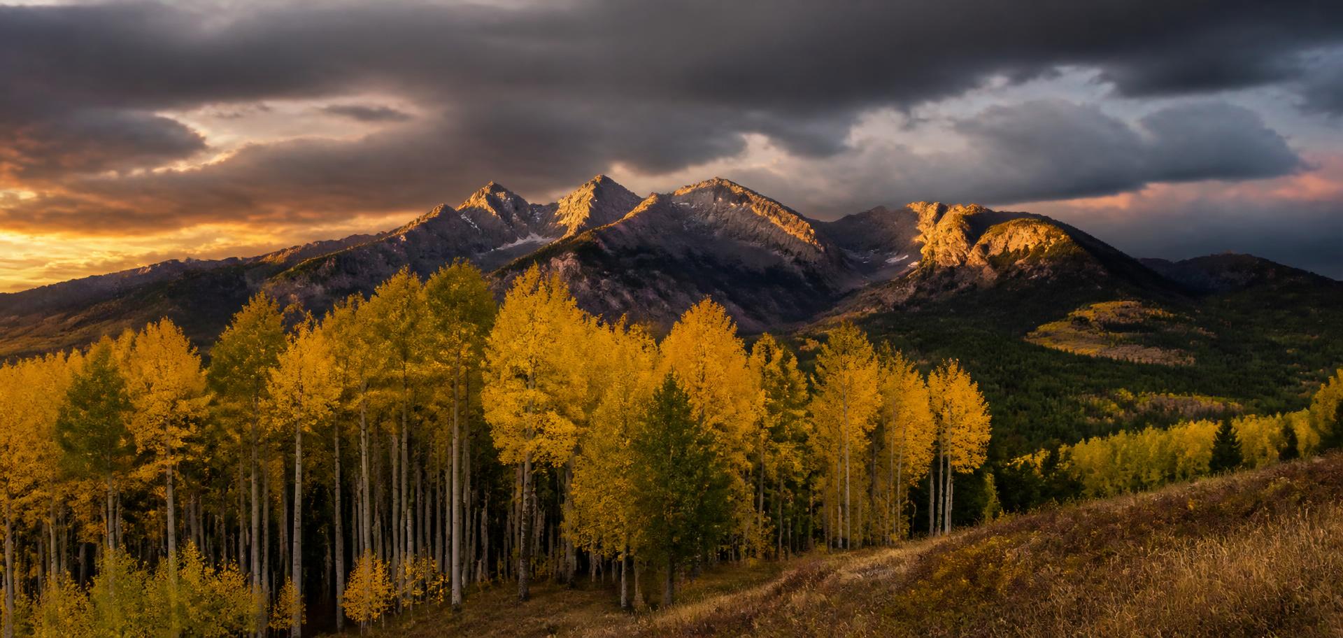 Colorado Rocky Mountains and aspen groves at golden hour